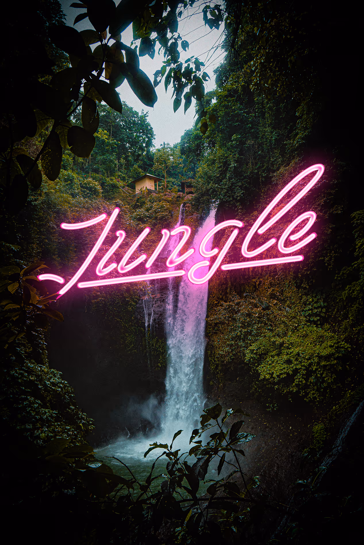 Jungle projet